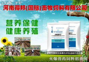 八重豪禮，巔峰鉅獻 河南得邦國際與火爆網攜手，共譜畜牧飼料行業新篇章